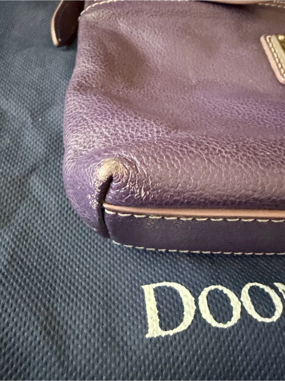 Dooney & Bourke Plum Leather Crossbody Bag with Brass Plaque